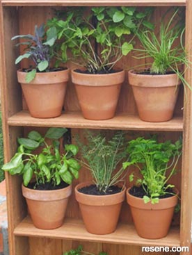 Shelf and plant detail