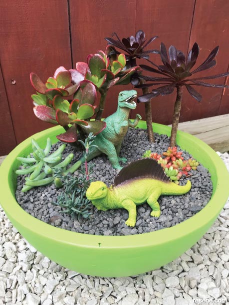 How to make a dinosaur garden
