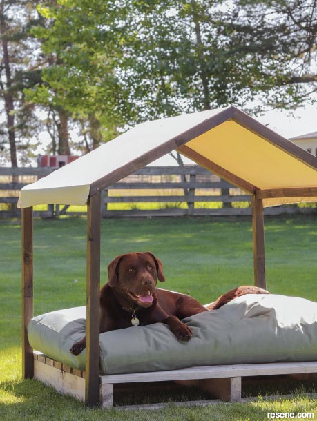 How to build a sun shelter for your dog