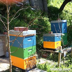 Colourful beehives aid the bees