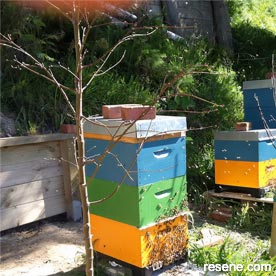 Colourful beehives aid the bees