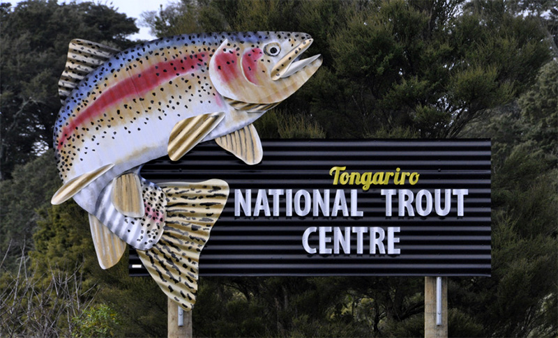 Corrugation Creations Taupo trout sign for the National Trout Centre