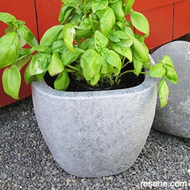 Stone herb pot 