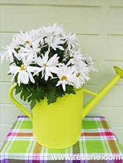 Paint an watering can
