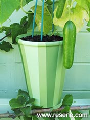 Paint a terracotta pot in shades of green.