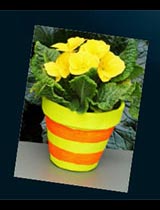 Paint a fluro flower pot