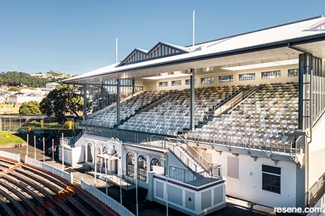 New Zealand Cricket Museum Stands