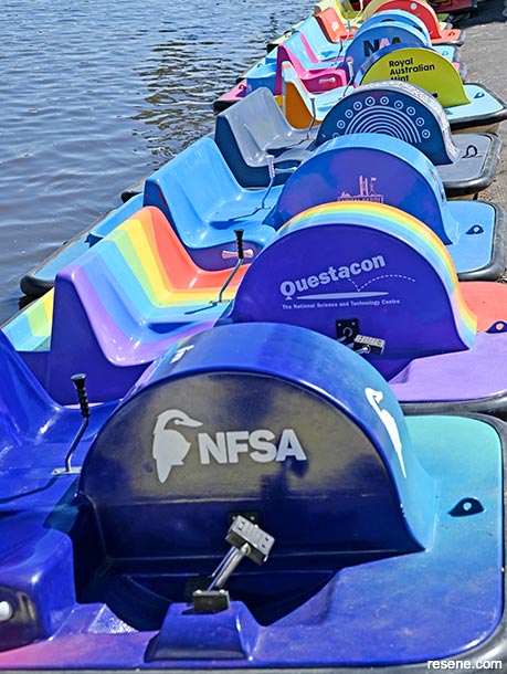 Freshly repainted paddleboats 