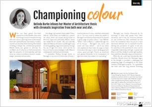 Championing colour - use of colour in the build environment