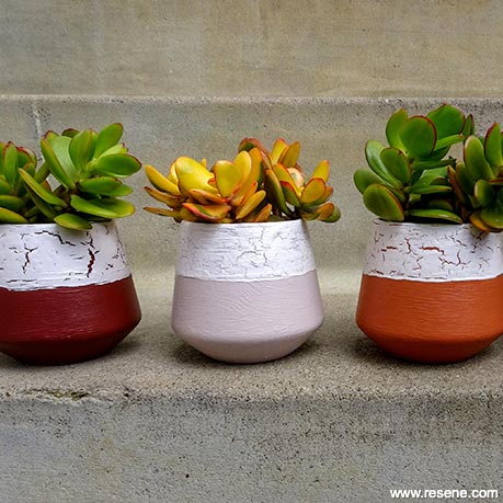 Painted plant pots with a cracked paint finish