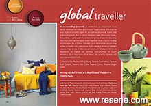 Global traveller
