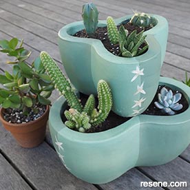 Cactus pot