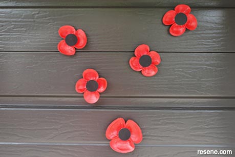 Detail - Magnetic shell poppies