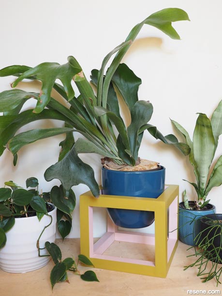 How to make a cube plant stand