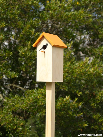 Birdhouse project