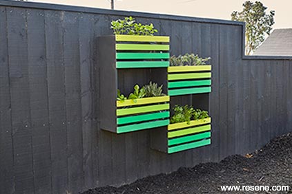 Vertical vege garden project