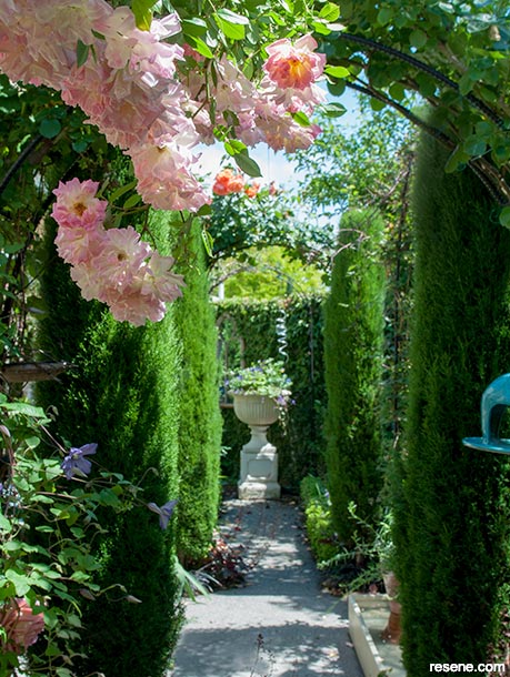 A beautiful courtyard garden