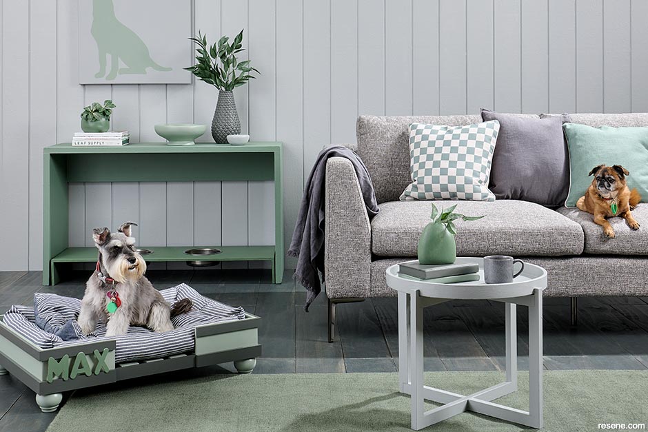 Decorating for your pets - perfect Schnauzer colours