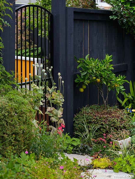 A garden with bright orange and black fencing