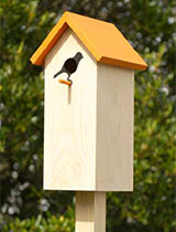 Build a bird house in your garden