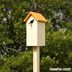 Build a birdhouse