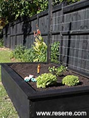 Make a raised vegetable garden