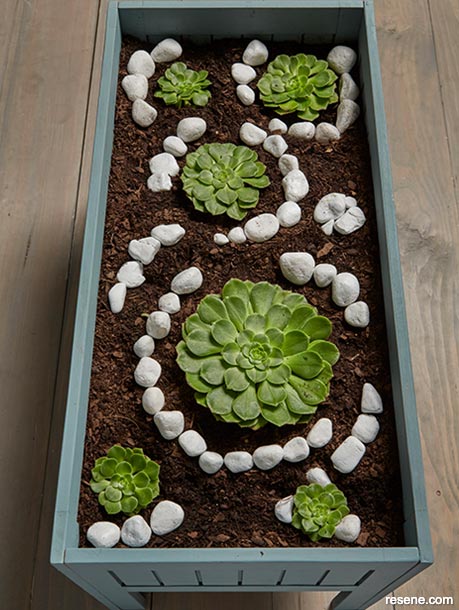 Make a planter box glow in the dark pebble garden