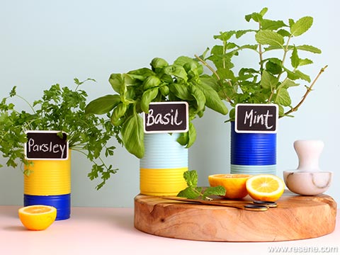 Make a herb planter out of tins