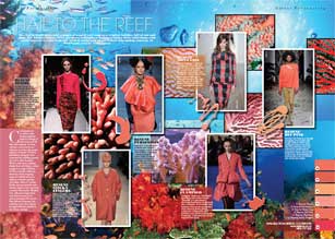 The warm, fresh pinks and oranges of a coral reef