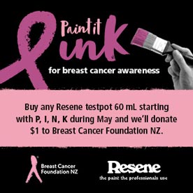 Paint it pink and raise money