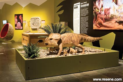 Dinousaur exhibit 3