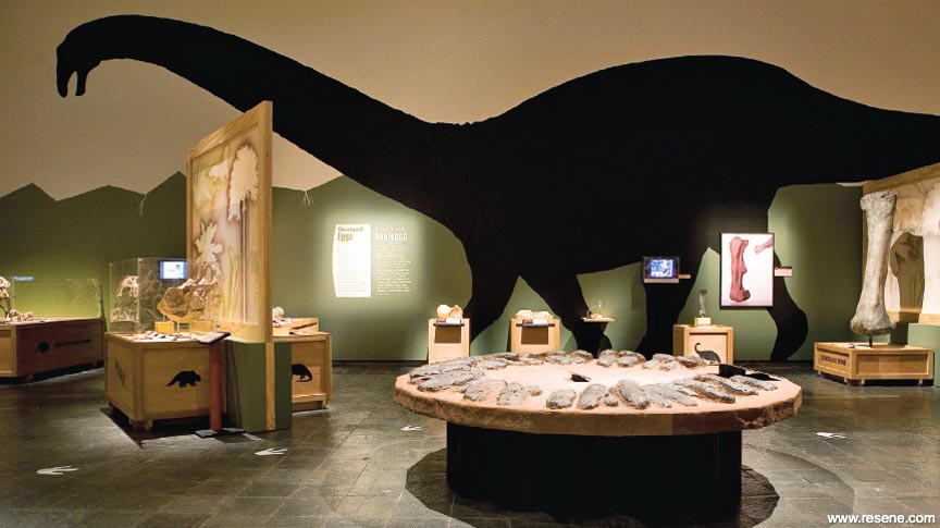 Dinousaur exhibit 4