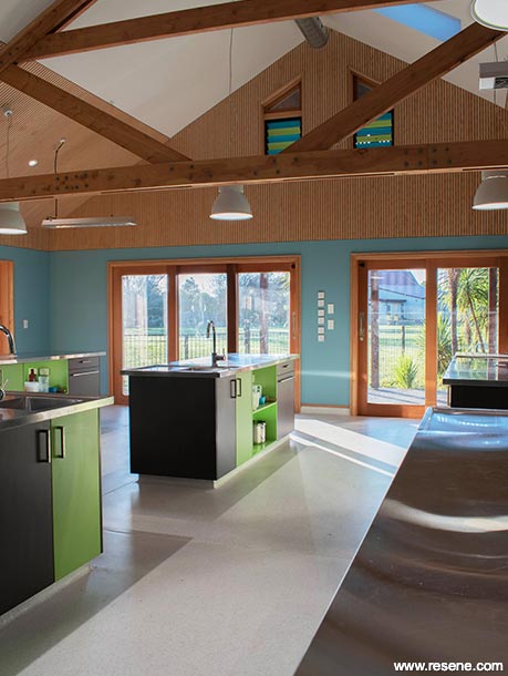 Green and blue school kitchen