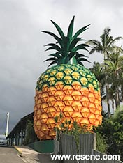 The Big Pineapple