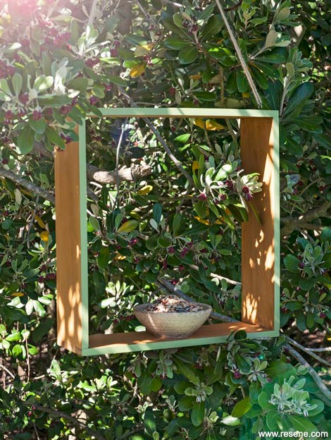 Make a bird feeder for your garden