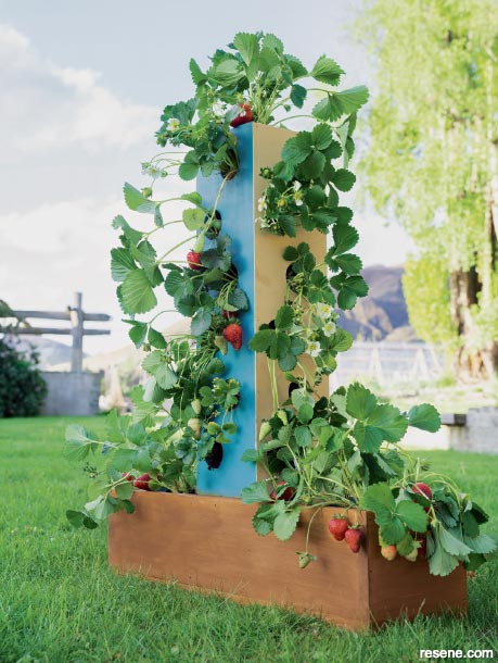 How to make a DIY strawberry tower