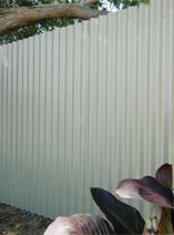 Paint a corrugated iron fence 