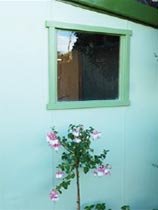 How to replace a shed window