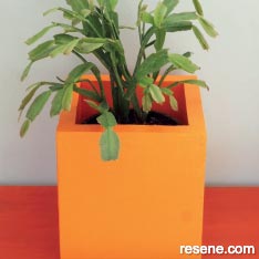 Make a plant box