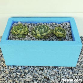 Paint a blue succulent trough