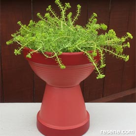 Make a terracotta planter
