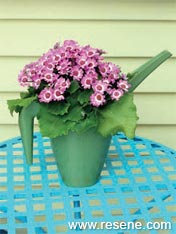 Turn a plastic watering jug into a planter