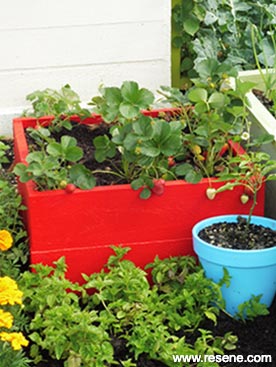 Make a planter box