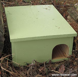 Build an hedgehog house for your garden